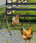 BHSAUGXI Chicken Roosting Perch, Adjustable Chicken Perch for Coop, Training Chicken Roosting Perches with Metal Stand