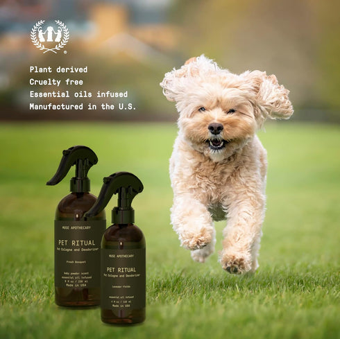 Muse Apothecary Pet Ritual Pet Cologne Spray for Dogs - Long Lasting After Bath - Essential Oils Infused - 8oz,