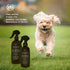 Muse Apothecary Pet Ritual Pet Cologne Spray for Dogs, Long Lasting Deodorant Spray with Essential Oils (4oz, Lavender