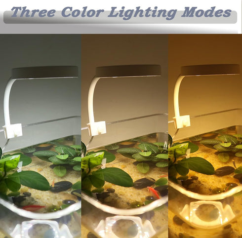 Upgraded Aquarium Light with Timer Clip On Fish Tank LED Light Small USB Light Dimmer Multi-Color White+Warm Yellow+Yellow 1 to 5 Gal (Adapter NOT Included) by PUEUTU