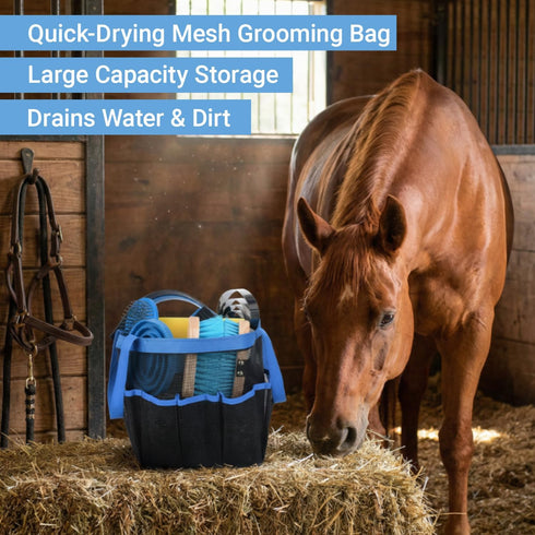 13 Set Piece Horse Grooming Kit, Horse Brushes for Grooming Supplies with Portable Bag, Horse Brush & Curry Comb