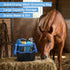 13 Set Piece Horse Grooming Kit, Horse Brushes for Grooming Supplies with Portable Bag, Horse Brush & Curry Comb