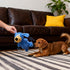 Generic Squeaky Dog Toys, Tough Stuffed Plush Dog Toys, Bundle Soft Dogs Chew Toy for All Breed Size Aggressive