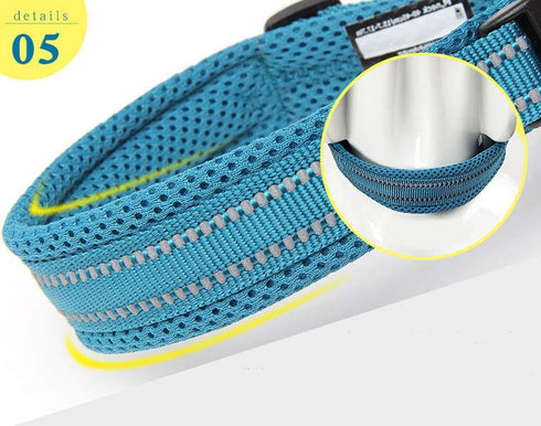 Truelove Dog Collar - Reflective Premium Duraflex Buckle, High Grade Nylon Webbing, No Choke Basic Collars TLC5011