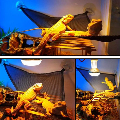 PINVNBY Hammock for Bearded Dragons, Reptile Habitat Lounger with Natural Seagrass Fibers, 4Pcs