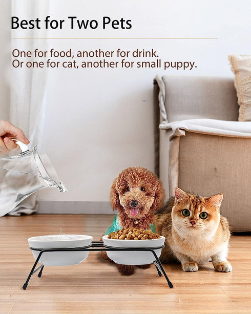 5" Ceramic Cat Bowl with Paws Pattern, Healthy Cat Dishes for Food and Water, Dishwasher Safe & Microwaveable