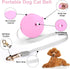Retractable Dog Leash for Small Dogs Cats, 6.5ft Anti-Pull Nylon Tape, Mini Portable Walking Leash, Pink Round