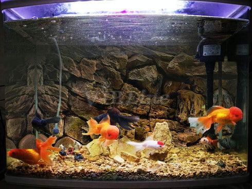 Rock Wall Aquarium Background Poster PVC Fish Tank Decor Landscape (72" x 20"/ 183 x 51cm) - Available in 24, 36, 48