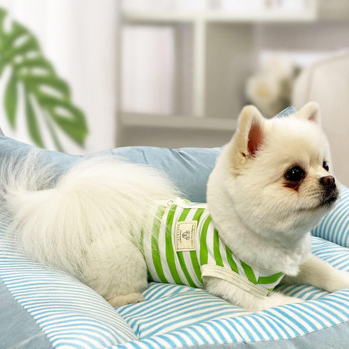 TONY HOBY Dog Pajamas, Summer Sleeveless Jumpsuit with Green Stripes for Small Medium Dogs, White & Green, XL