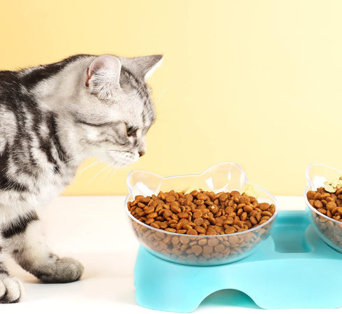 MILIFUN Elevated Tilted Cat Bowls, Anti Vomiting Kitty Bowls for Indoor Cats, Orthopedic Design (Blue)