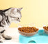 MILIFUN Elevated Tilted Cat Bowls, Anti Vomiting Kitty Bowls for Indoor Cats, Orthopedic Design (Blue)