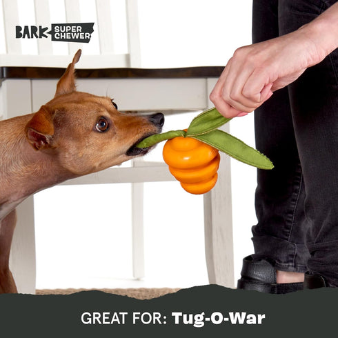 Barkbox Super Chewer Tough Dog Chew Toys, Treat Dispensing for Aggressive Chewers, Carrot - Small