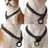 Durable Walking Dog Training Collar, Strong Stainless Steel Chain for Large Dogs