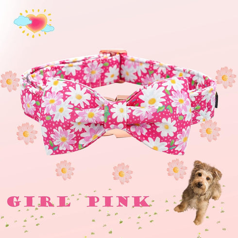 Elegant Little Tail Dog Collar with Bow, Pink Floral Adjustable Collar for X-Large Dogs