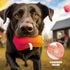 Funny Dog Toys with Squeaker, Cute Parody Toys for Small, Medium, Large Dogs, Dog Birthday Gifts, Peach