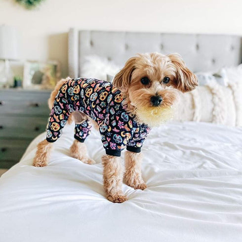CuteBone Small Dogs Outfit - Soft Puppy Onesies Pjs Dog Pajamas Pet Coat for All Seasons (P73S)