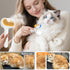 3-in-1 Pet Steam Brush for Dog & Cat Spray Hair Removal Comb Steam for Shedding & Grooming Water Brush for Long & Short