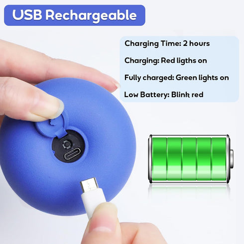 Interactive Touch Activated Dog Ball Toy