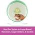 10 Inch Kaytee Silent Spinner Wheel For Pet Syrian or Large Breed Hamsters, Sugar Gliders and Gerbils, Large (Colors