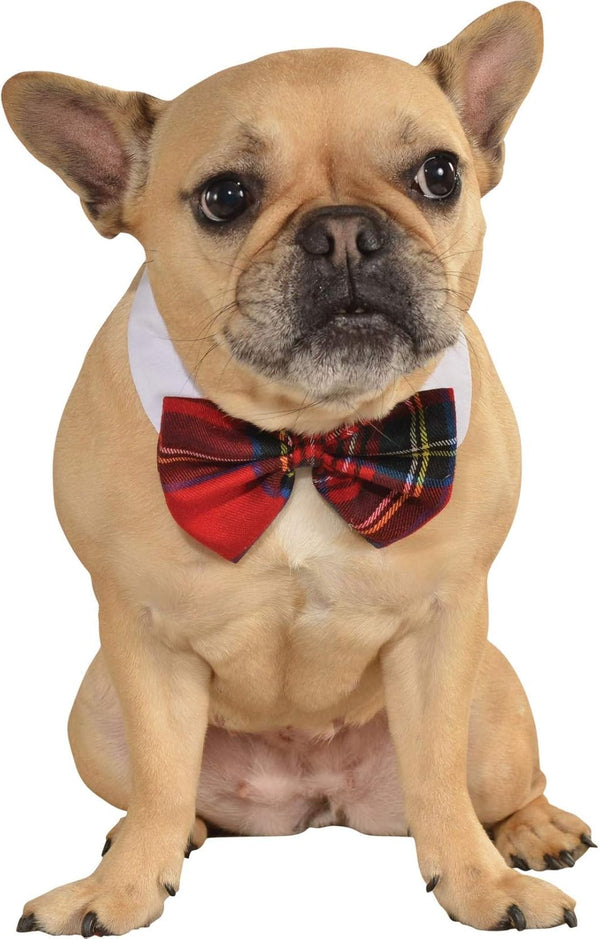 Rubies Red Plaid Pet Christmas Bowtie - Medium/Large