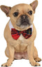 Rubies Red Plaid Pet Christmas Bowtie - Medium/Large