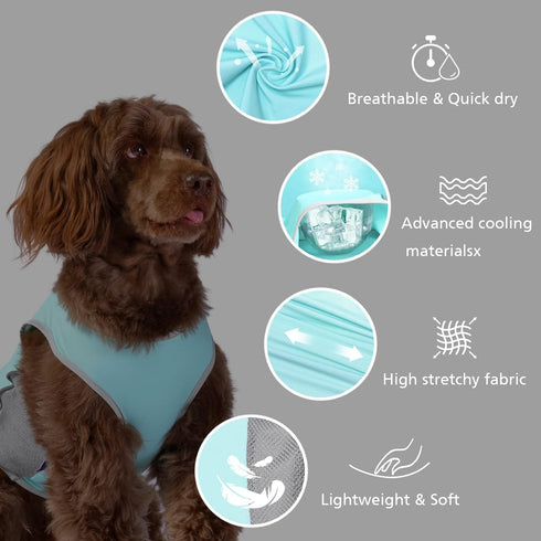 UPF 50+ Sun Protection Dog Shirt, Sports Fan T-Shirts for Small Dogs, Lightweight Sleeveless Vest Pet Supplies