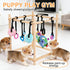 Sibosen 10 Wooden Puppy Play Gym with Hanging Toys for Small Dogs Indoor Jungle Playground Wood Frame with Interactive