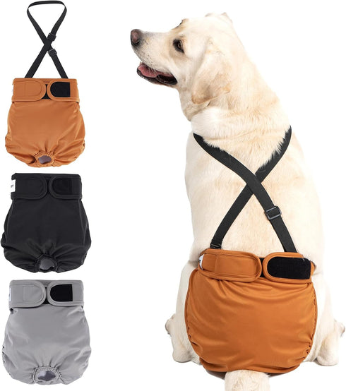 Avont 3 Pack Washable Female Dog Diaper with 1 Suspender, Reusable Girl