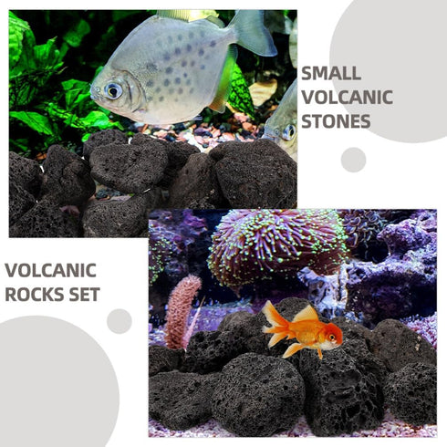 INOOMP Aquarium Lava Rocks, 1 Set of Black Volcanic Rocks, Natural Lava Pebbles for Planter, Fireplaces, Fire Pits,