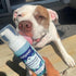 Petpost Fresh Breath Foam for Dogs, Mint & Apple Flavored Dental Solution That Eliminates Bad Breath, Natural Tooth