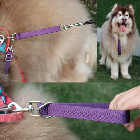 Traffic Dog Leash, Pet Dog Training Leash with Grab Handle and Training Tab (Rosered & Purple)