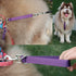 Traffic Dog Leash, Pet Dog Training Leash with Grab Handle and Training Tab (Rosered & Purple)