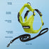 Voyager Step-in Lock Adjustable Cat Harness with Leash Combo Set, Neoprene Handle 5ft - Supports Small, Medium, Large