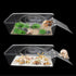 Iffitya 2 Packs Large Hermit Crab Water Tank - Ideal Hermit Crab Pool