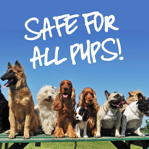 Pup Oils Dog Itch Relief Supplement, Liquid Drops for Itching Removal, Therapeutic Essential Vitamin Oils for Dogs