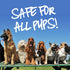 Pup Oils Dog Itch Relief Supplement, Liquid Drops for Itching Removal, Therapeutic Essential Vitamin Oils for Dogs