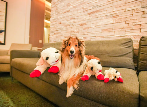 24" 24" Size:Pack 1 HDP Lambchop Plush Dog Toy with Squeaker Color:White