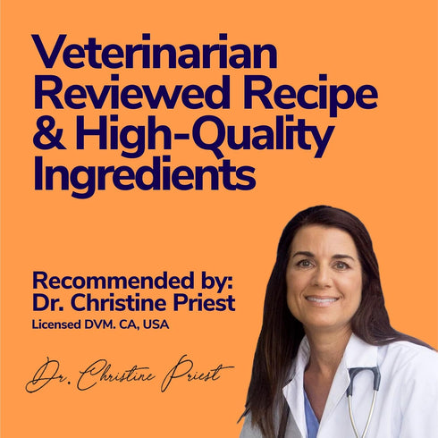 Dog Weight Gainer Chews for Energy & Mass, High Calorie Supplement for Healthy Weight Gain, 60 Treats