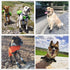 Waterproof Dog Boots - Outdoor Shoes for Medium to Large Dogs with Reflective Fastening Straps and Rugged Anti-Slip