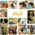All Natural Human Grade Dog Treat for Puppy Training, Hypoallergenic, Easy to Digest (Chicken Tots)