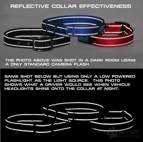 Max and Neo MAX Reflective Dog Collar - Medium, Purple - We Donate a Collar to Dog Rescue for Every Collar Sold
