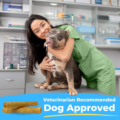 Soft Rawhide Chews for Large Dogs | Vet VOHC Approved | Daily Dental Treats for Teeth & Gums | USA Made | (XL Dogs / 12