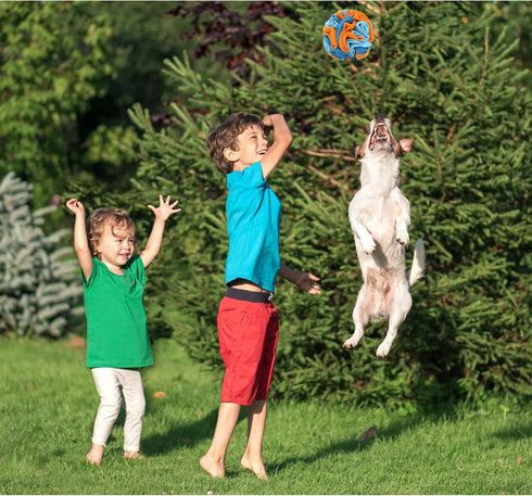 WishLotus 5.9 Inch Snuffle Ball for Dogs, Colorful Sniffing Training Toy for Small Dogs & Natural Foraging