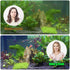 Mini 3W Aquarium Clean Light with Timer, Algae Removal LED Light for Fish Tank and Pond