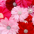 20pcs Pink Rose Red Pet Dog Collar Attachment Flower Bows, Slide Small Dog Collar Bowties for Holiday Grooming