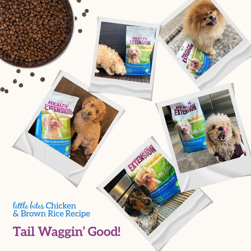 Health Extension Little Bites Dry Dog Food, Natural with Added Vitamins & Minerals, Chicken & Brown Rice Recipe, 10