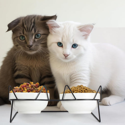 Elevated Tilted Cat Bowls for Indoor Cats, Raised 15° Ceramic Cat Bowl for Food and Water, Anti Vomiting Bowl (Double
