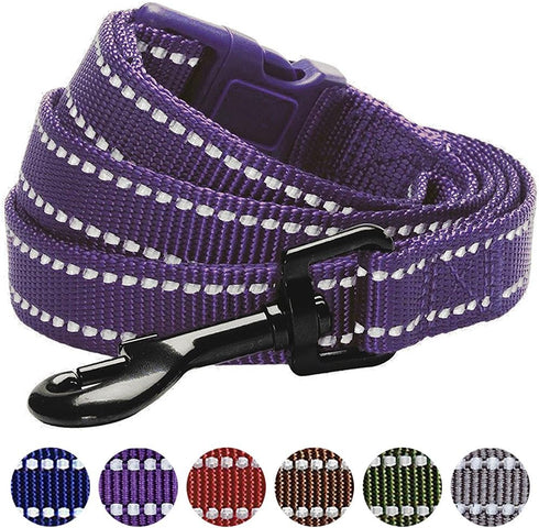 Durable 3M Reflective Classic Dog Leash 4 ft x 1", Violet, Large by Blueberry Pet Essentials