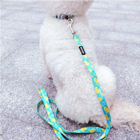 azuza Dog Collar and Leash Set, Lemon Patterns on Blue Nylon Collar and Matching Leash for Large Dogs