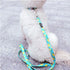 azuza Dog Collar and Leash Set, Lemon Patterns on Blue Nylon Collar and Matching Leash for Large Dogs